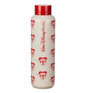 Disney World x Starbucks Christmas Holiday Santa Mickey Metal Tumbler Cu…